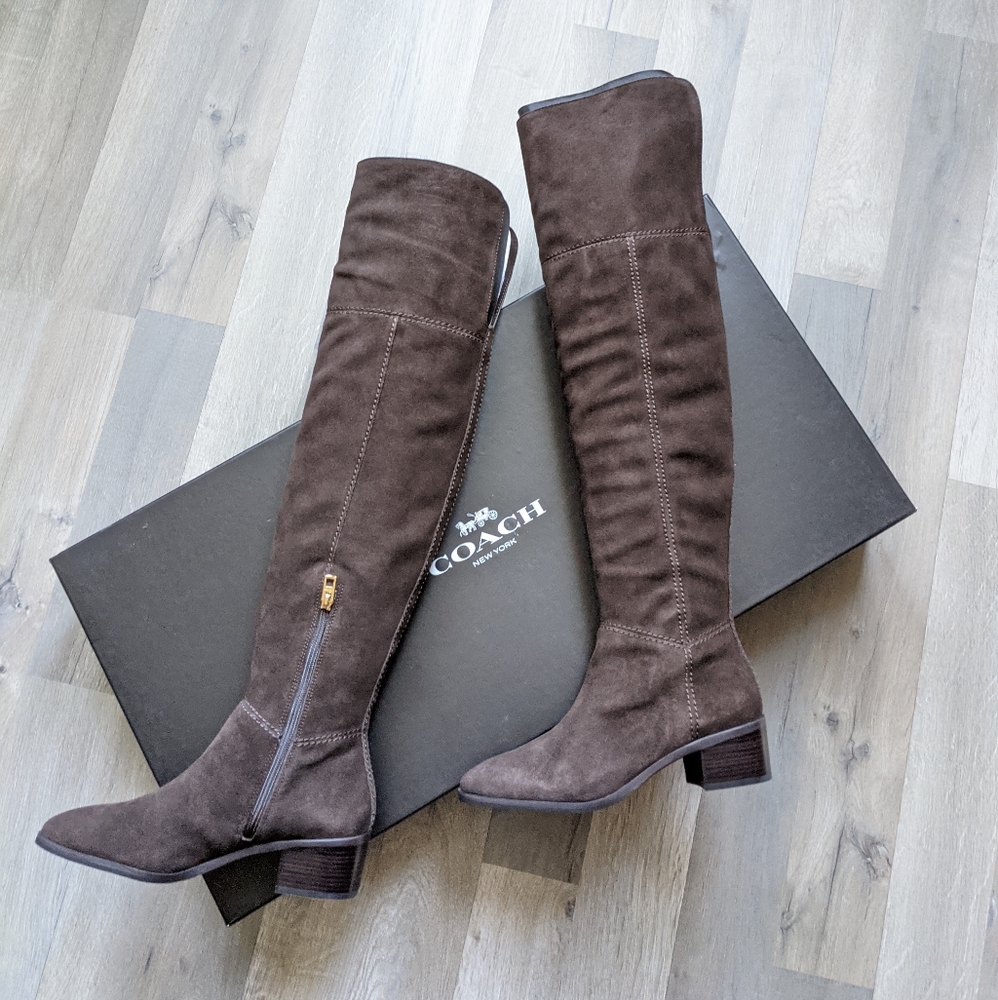 NEW Coach Lucia Split Chestnut OTK Suede Boots 8 - Picture 2 of 7